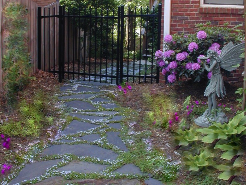 Slate path stepping stones with ground cover